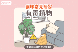 龜背芋對貓有毒嗎？常見貓咪有毒植物清單