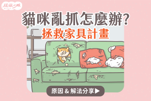 防止 貓咪亂抓 教學步驟專欄封面