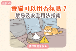 貓咪香氛精油使用指南 專欄