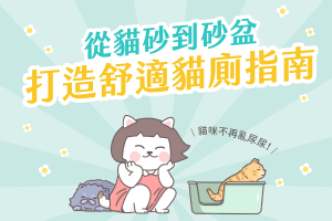 舒適 貓廁所 打造專欄封面