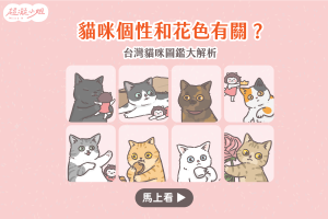 貓咪花色 個性 黑貓 白貓 橘貓 三花貓 虎斑貓 賓士貓