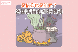 黑貓 黑色貓咪 黑貓傳說 黑貓禁忌 黑貓個性 黑貓虎斑