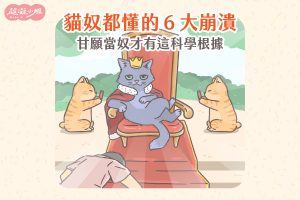 貓奴 貓咪 世界貓奴日