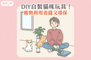 貓咪玩具 自製貓咪玩具 貓玩具 DIY貓咪玩具 DIY貓玩具