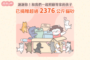 浪貓 貓砂 捐貓砂 浪貓機構 流浪貓