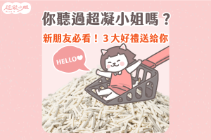 超凝小姐 珍奶貓砂 超凝小姐評價 超凝小姐貓砂 超凝小姐折扣碼