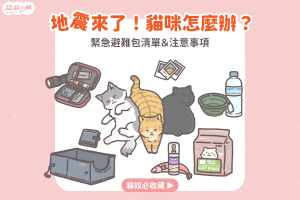 地震 貓咪 避難包 地震包 地震貓咪怎麼辦