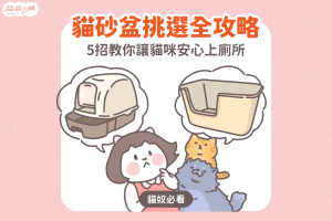 貓砂盆 貓咪 貓咪怎麽選貓砂盆 貓砂 貓砂盆選 選貓砂盆 大貓砂盆