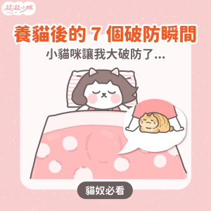 養貓人 大破防 破防了 破防