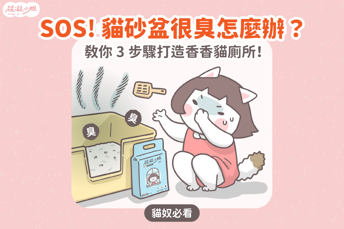 貓砂很臭怎麼辦？7 個貓砂除臭推薦，教你正確消除異味！ - Lady N