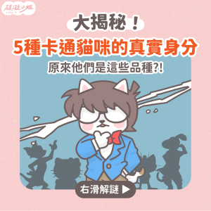 卡通貓 卡通貓品種 貓咪品種 卡通貓咪