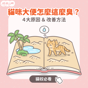 貓咪大便怎麼這麼臭