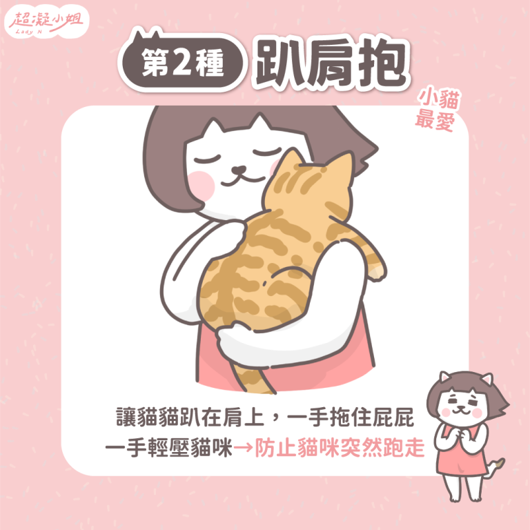 讓貓咪愛上抱抱！正確抱貓姿勢大公開 - Lady N