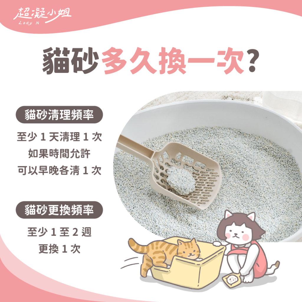 貓砂多久換一次
