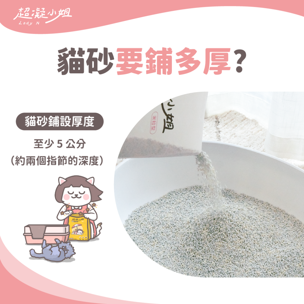 貓砂要鋪多厚