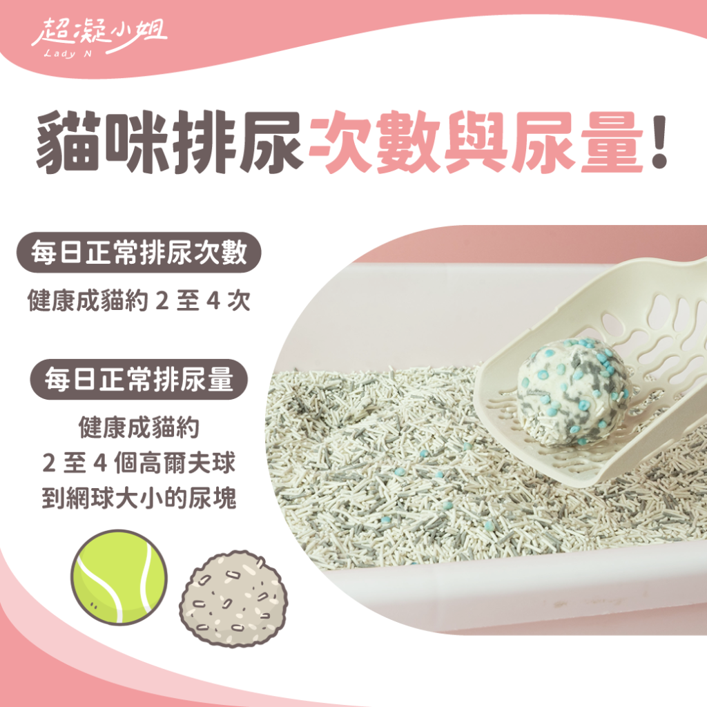 貓咪排尿次數貓咪排尿量