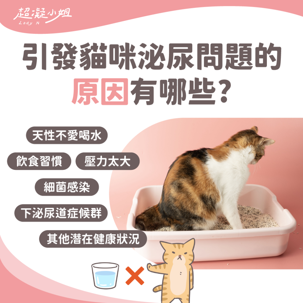 貓咪泌尿問題原因