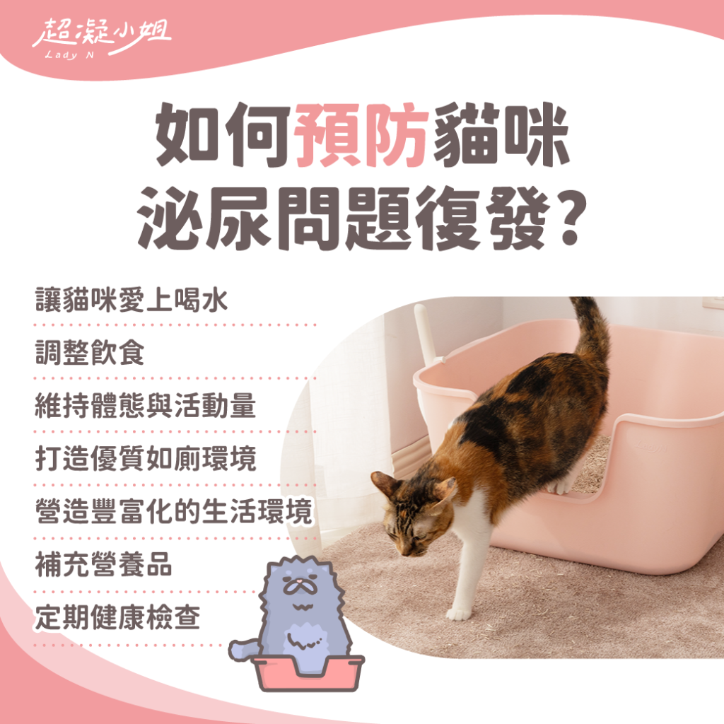 貓咪泌尿問題預防