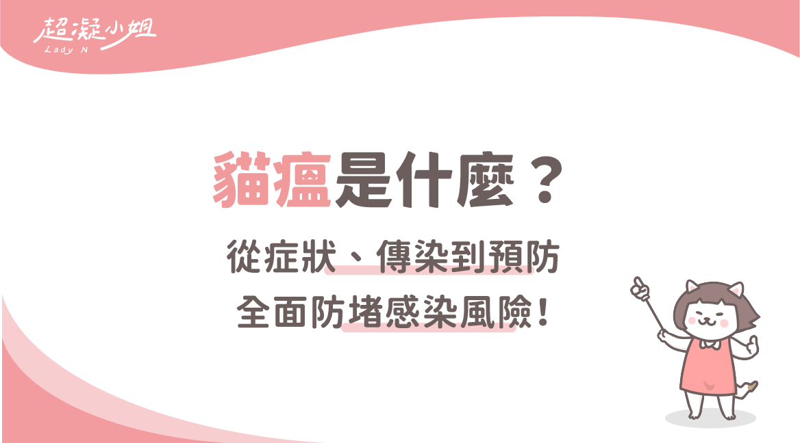 貓瘟是什麼？泛白血球減少症症狀、傳染途徑、治療與疫苗預防解析 - Lady N