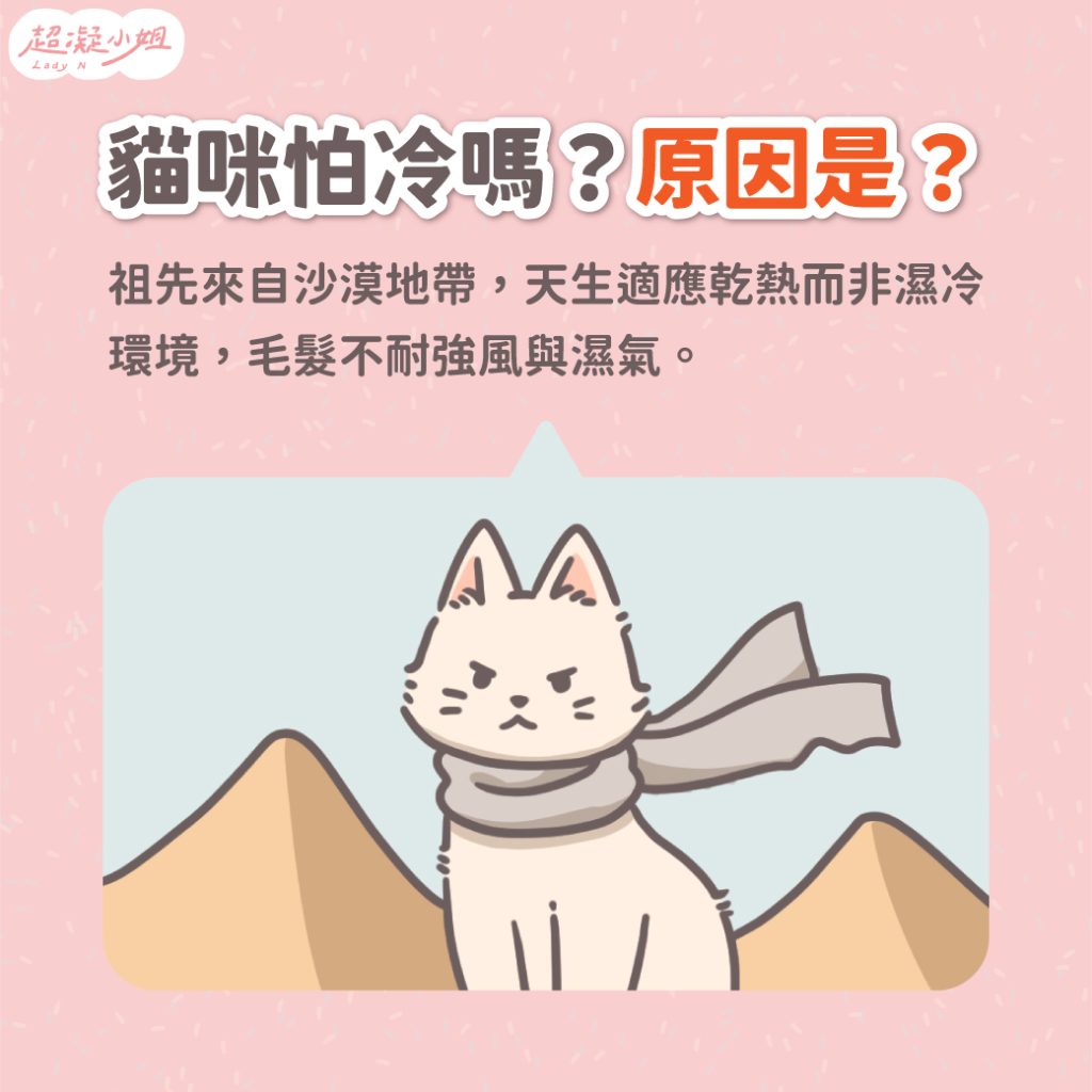 貓怕冷原因