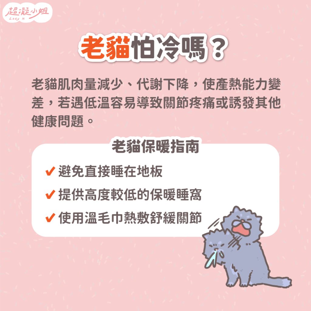 老貓怕冷