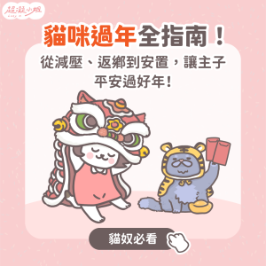 貓過年