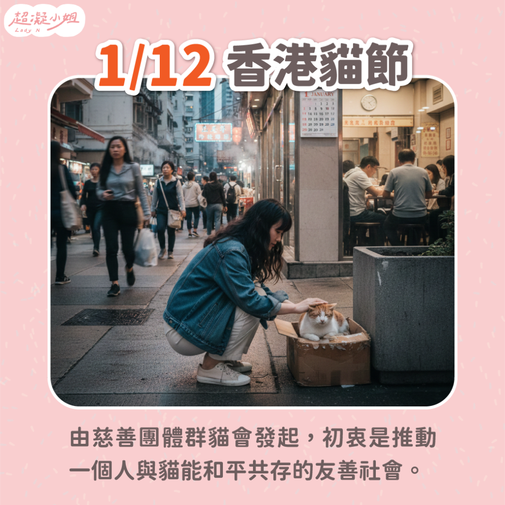 香港貓節