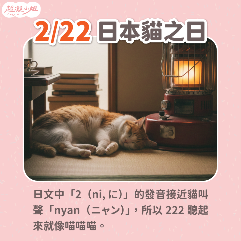 222貓之日