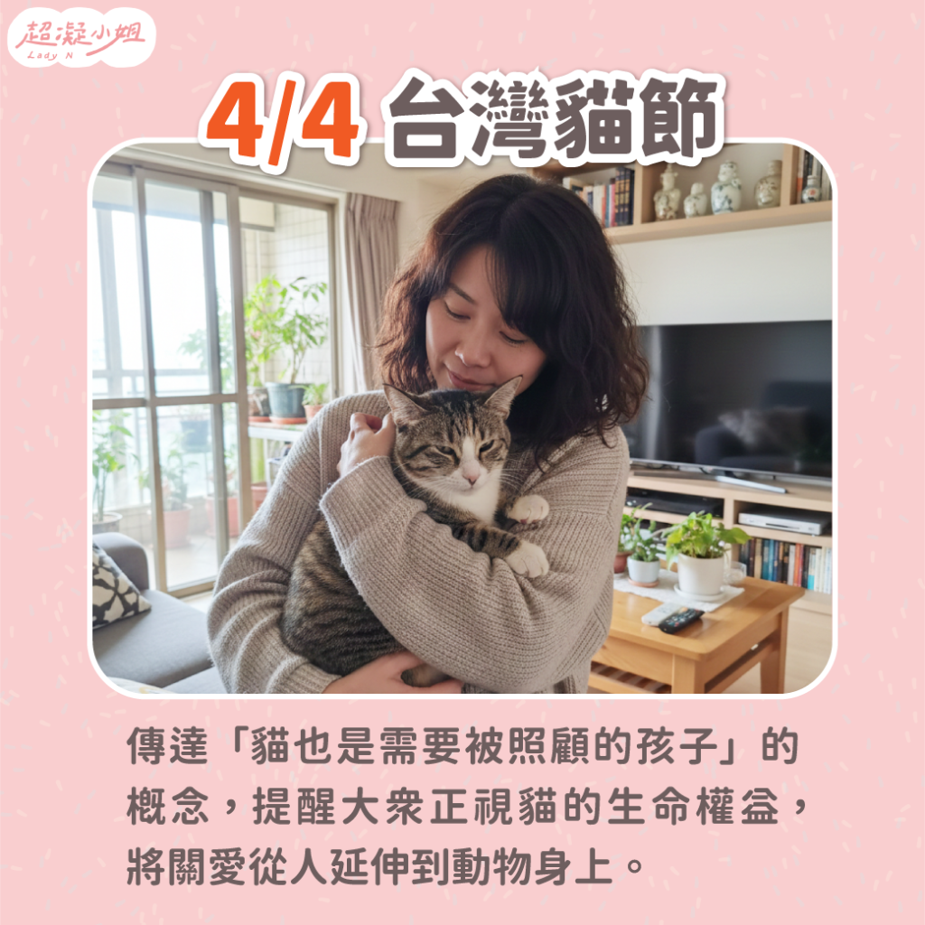 台灣貓節