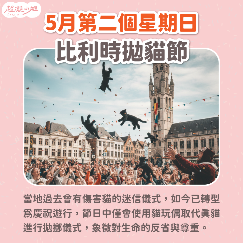 比利時拋貓節