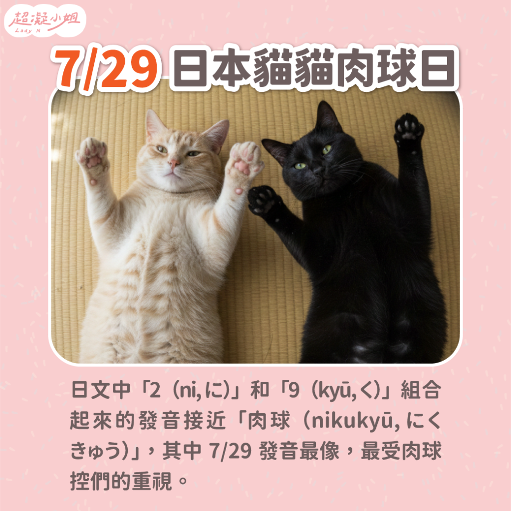 日本貓貓肉球日
