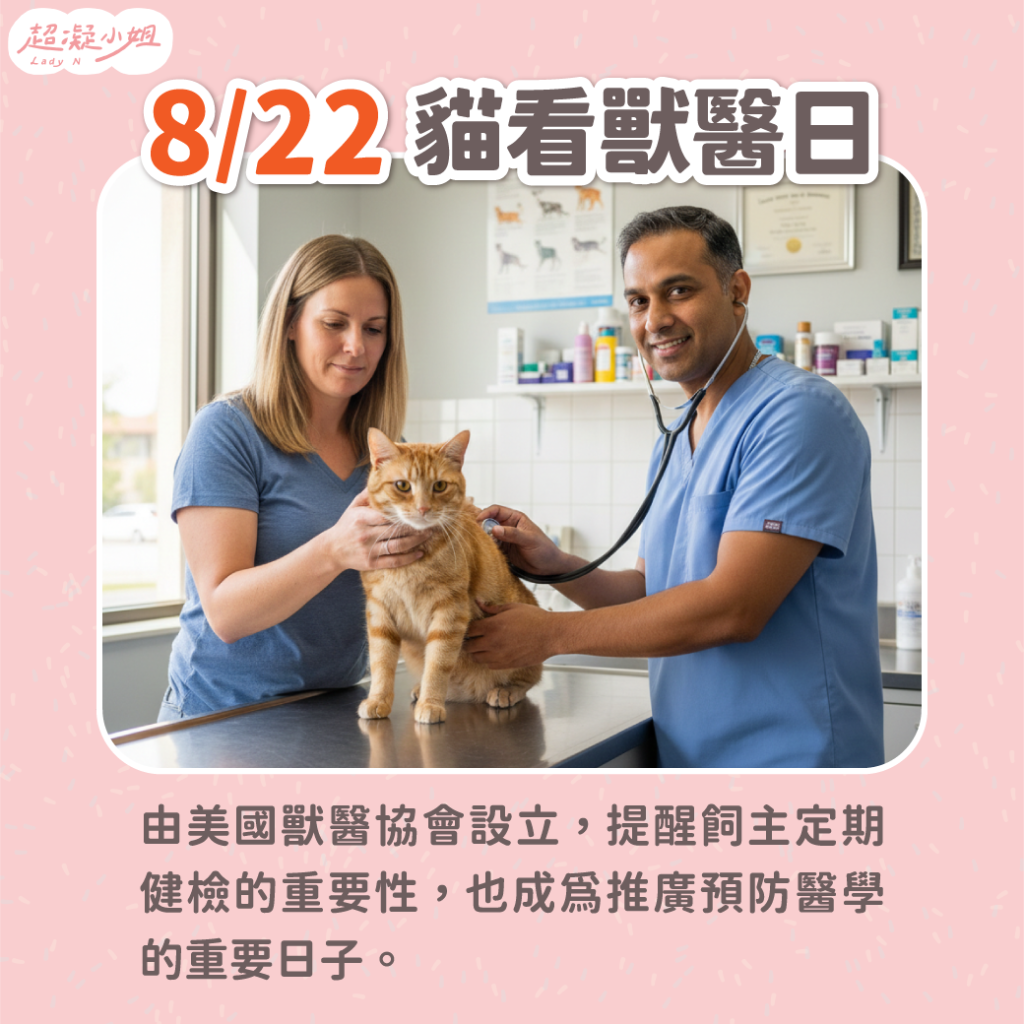 貓看獸醫日