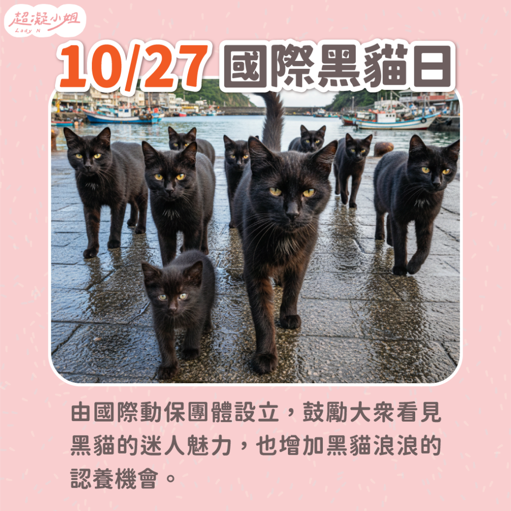 國際黑貓日