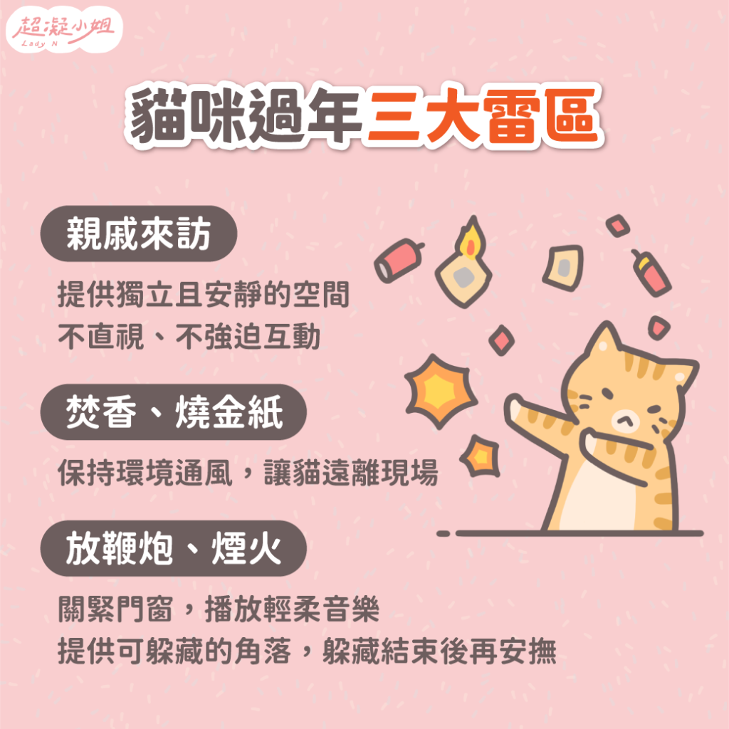 貓過年禁忌