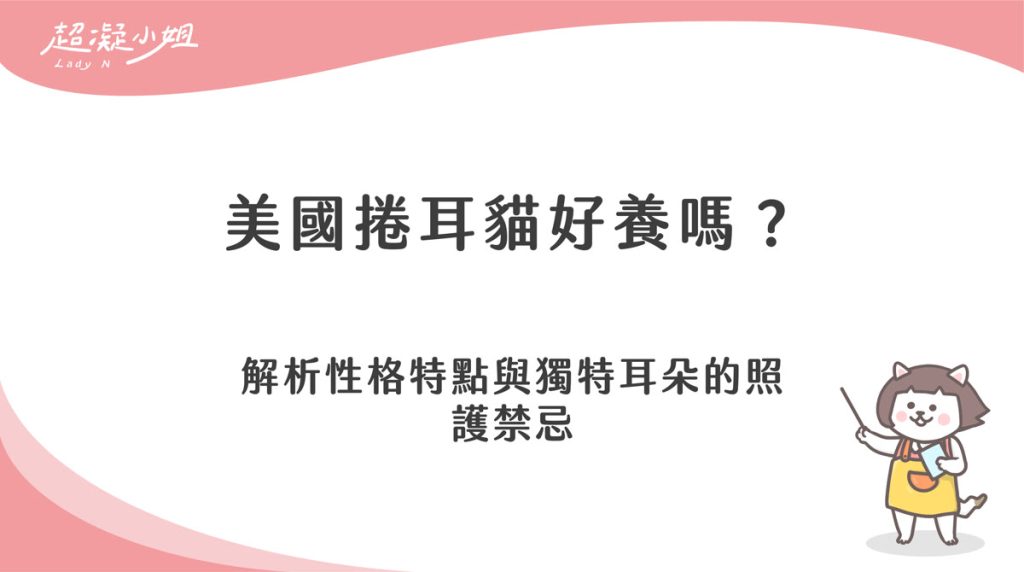 美國捲耳貓好養嗎?解析性格與獨特耳朵的日常照護