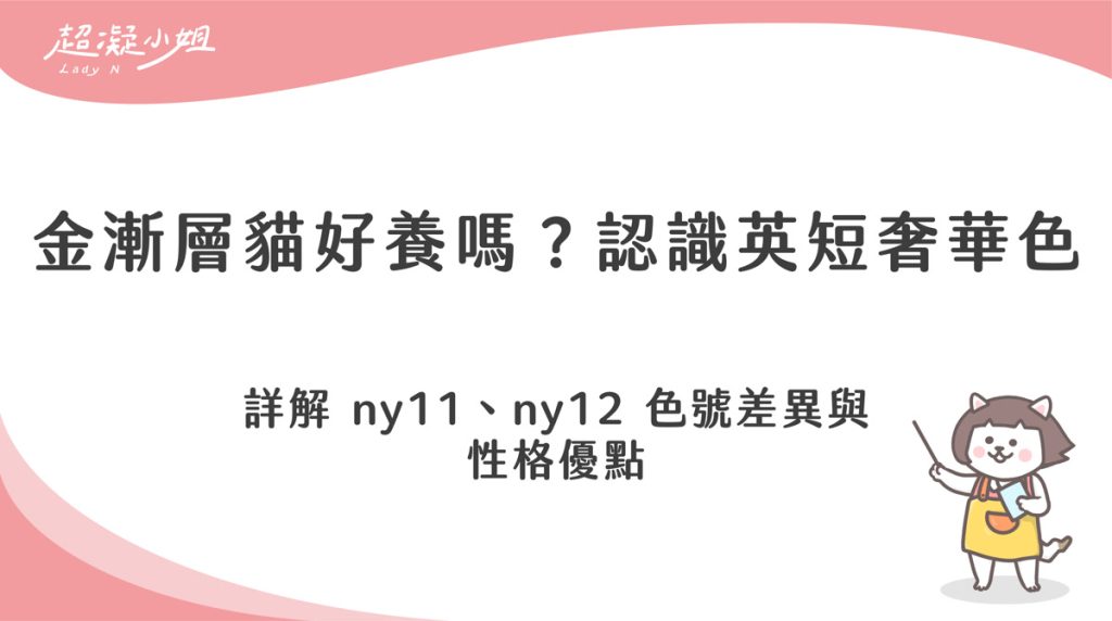 金漸層貓好養嗎？價格、色號與英短金漸層個性解析