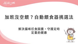 貓咪自動餵食器怎麼挑？幫家長建立定時定量的生活