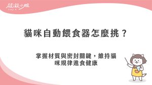 貓咪自動餵食器怎麼挑？維護規律飲食與進食健康的重點