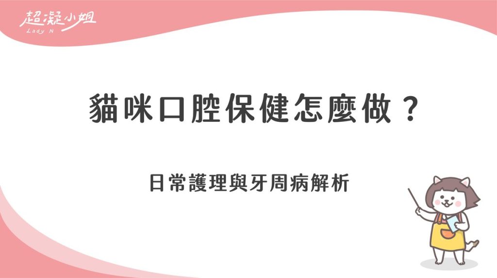 貓咪口腔保健怎麼做？日常護理與牙周病解析