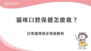 貓咪口腔保健怎麼做？日常護理與牙周病解析