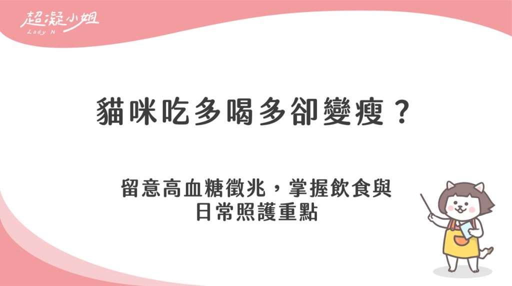 貓咪糖尿病症狀有哪些？血糖標準、飲食與居家照護建議