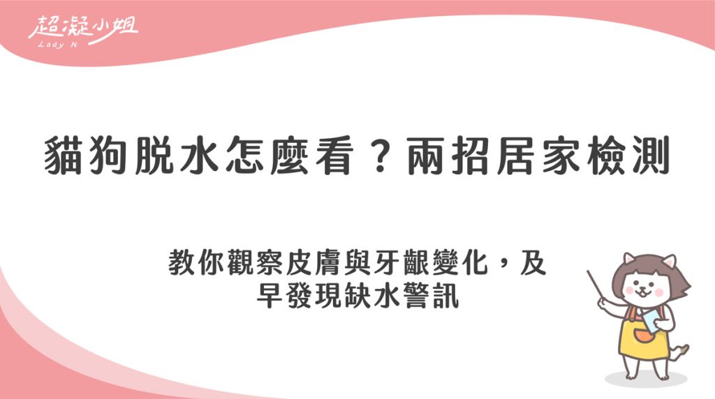 如何判斷貓狗脫水?掌握皮膚與牙齦測試,守護毛孩健康