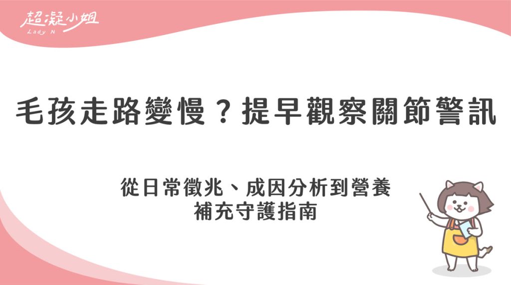 貓狗關節保養怎麼做?觀察徵兆、營養補充與環境優化