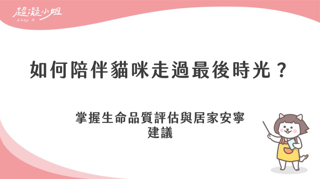 如何陪伴貓咪走過最後時光？善終準備與臨終照顧建議