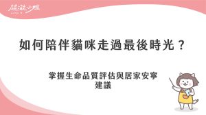 如何陪伴貓咪走過最後時光？善終準備與臨終照顧建議