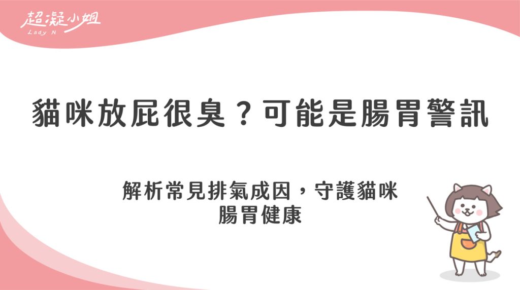 貓會放屁嗎？聞到臭味可能是腸胃警訊