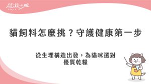 貓飼料推薦怎麼挑？從成分標籤看營養與挑嘴貓餵食方法