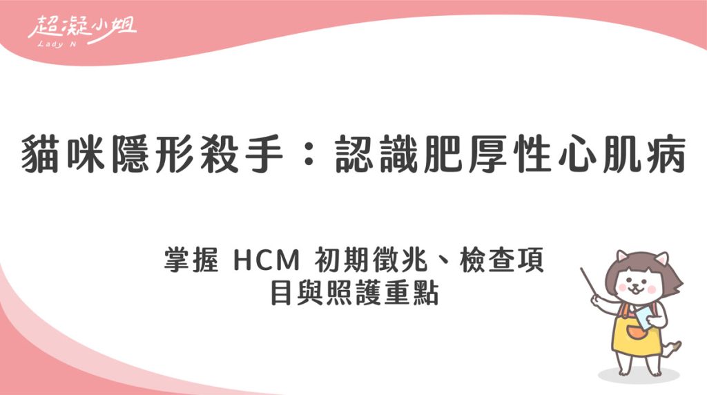 貓肥厚性心肌病是什麼?認識 HCM 症狀、檢查與照護