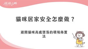 貓咪居家安全怎麼做？避開貓咪高處墜落的環境佈置法
