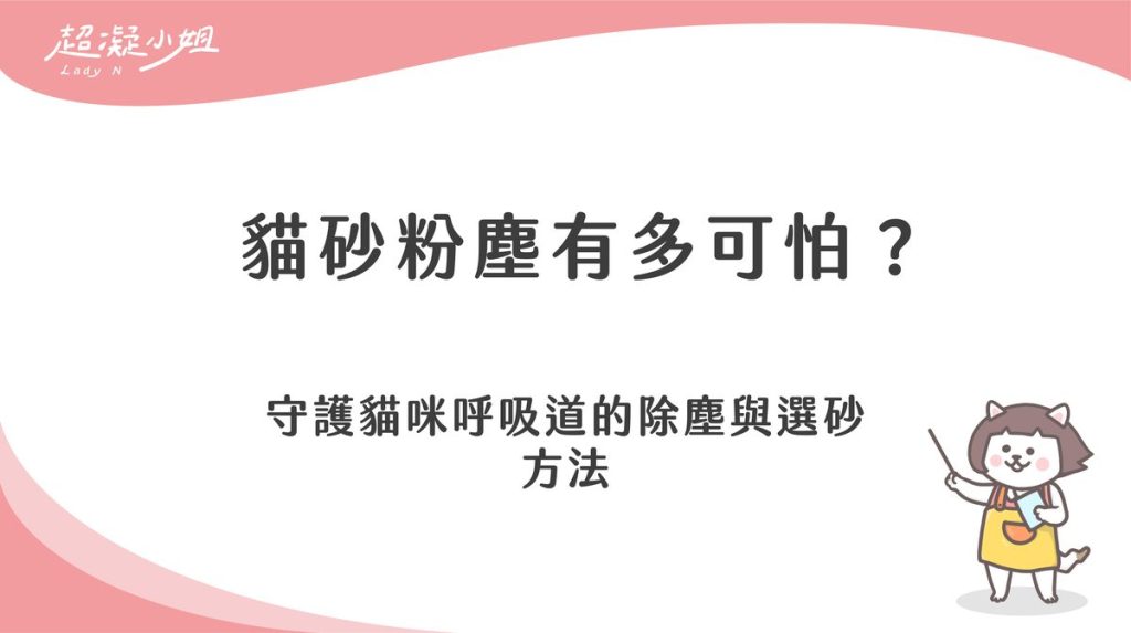貓砂粉塵有多可怕?守護貓咪呼吸道的除塵與選砂方法